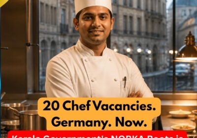 NORKA Roots recruiting chefs for Germany 2026 — 20 vacancies, apply by 9 August 2026